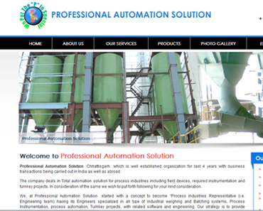  PROFESSIONAL AUTOMATION 